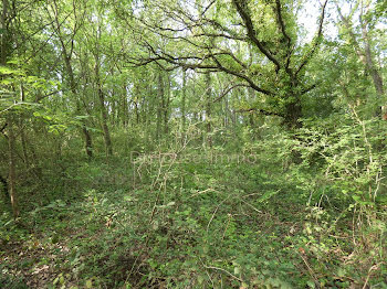 terrain à Bourcefranc-le-Chapus (17)