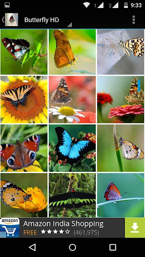 免費下載個人化APP|Butterfly Wallpapers HD app開箱文|APP開箱王
