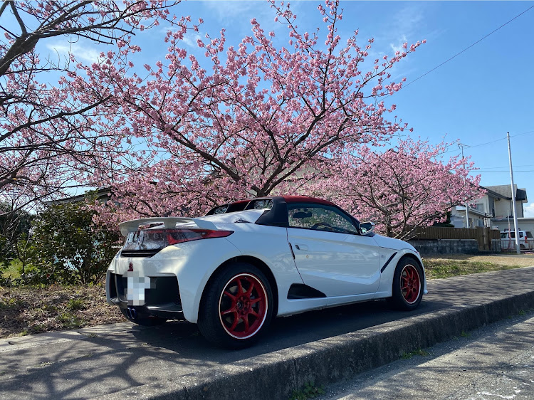 S660の河津桜に関するカスタム事例の投稿画像2枚目