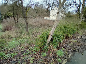 terrain à Souppes-sur-Loing (77)