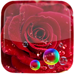 Cover Image of Download 3D Rose Live Wallpaper 3.4 APK