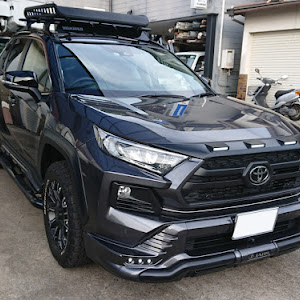 RAV4