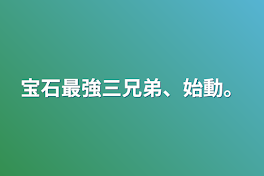 宝石最強三兄弟、始動。