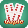 Domino Offline - Gaple icon