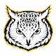 Owl VPN Free - Internet Freedom, Privacy & Safety Download on Windows