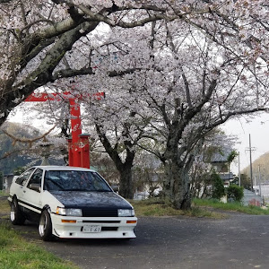 カローラレビン AE86