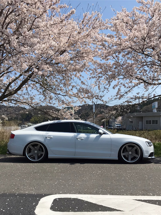 A5 スポーツバックのコロナウイルスに負けるな・桜と愛車・Audi A5・Audi A5 sportbackに関するカスタム事例の投稿画像4枚目