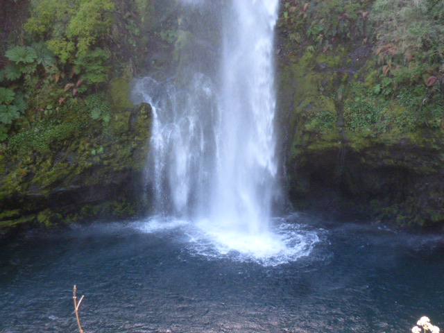 PARQUE NACIONAL ALERCE ANDINO. RESERVA LLANQUIHUE - CHILE, de Norte a Sur con desvío a Isla de Pascua (20)