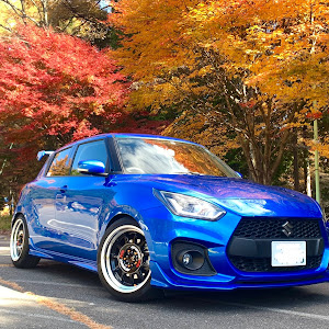 スイフトスポーツ ZC33S