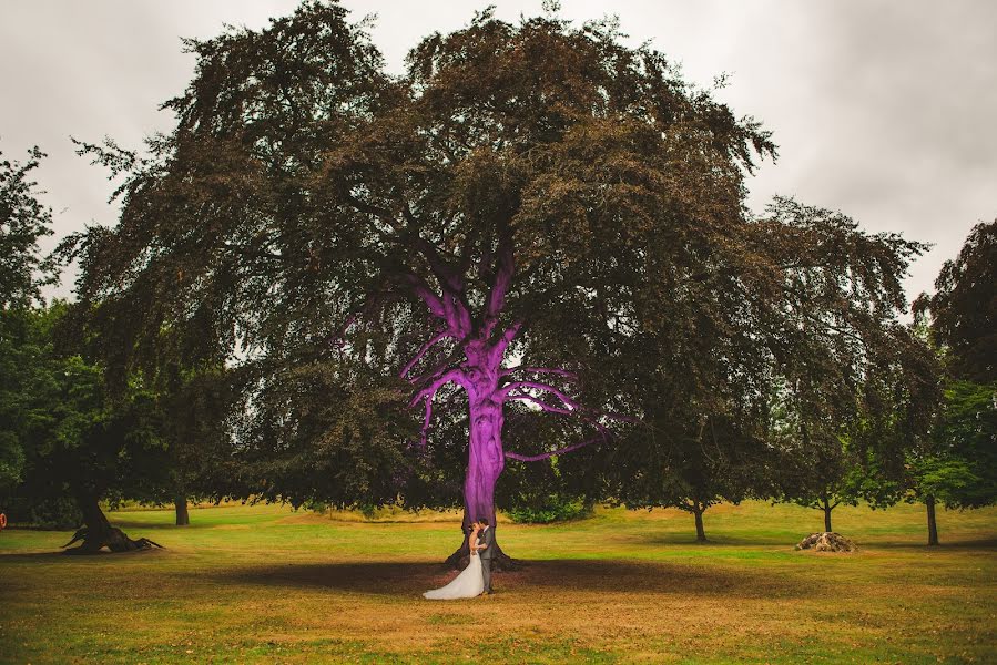 Fotógrafo de casamento Colin Perkins (colperkinsphoto). Foto de 6 de fevereiro 2019