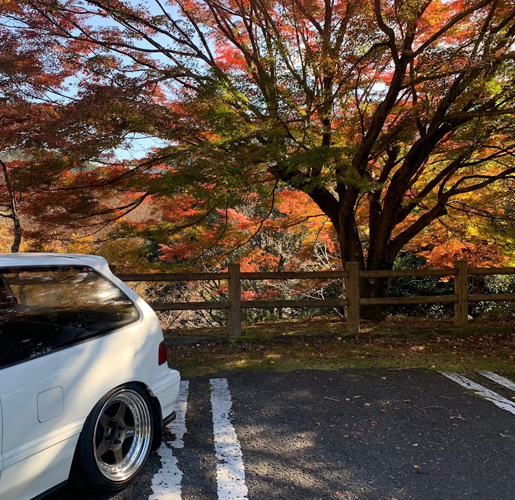 シビックのソロドライブ紅葉ツーリング・白バイ隊員もソロツーリングに関するカスタム事例の投稿画像2枚目