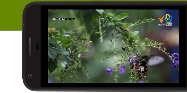 สื่อสร้างสุข - náhled