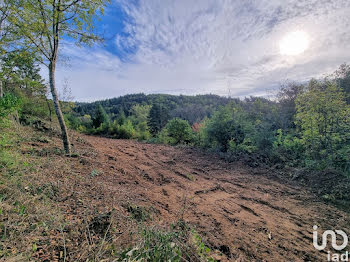 terrain à Saint-Préjet-Armandon (43)