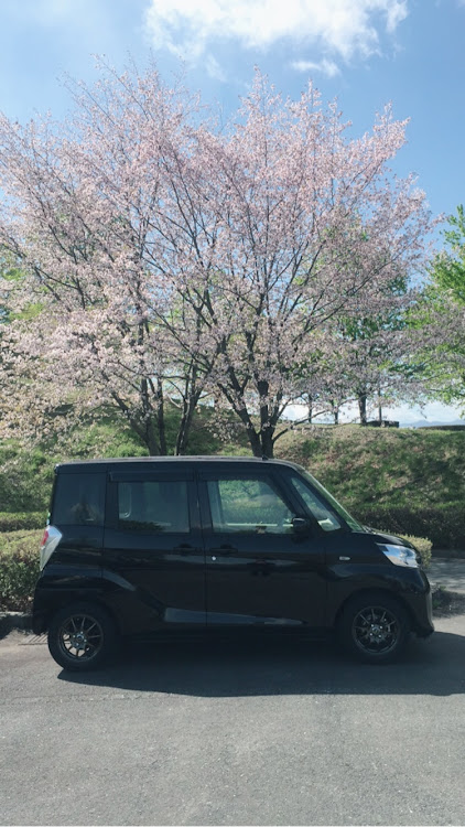 デイズルークスの散る桜🌸に関するカスタム事例の投稿画像1枚目