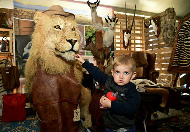 Malan Vienings, 2, checking to see if this stuffed lion will bite