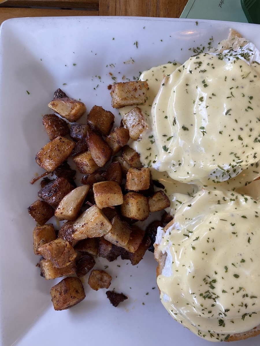 Eggs benedict with hollandaise sauce + home fries