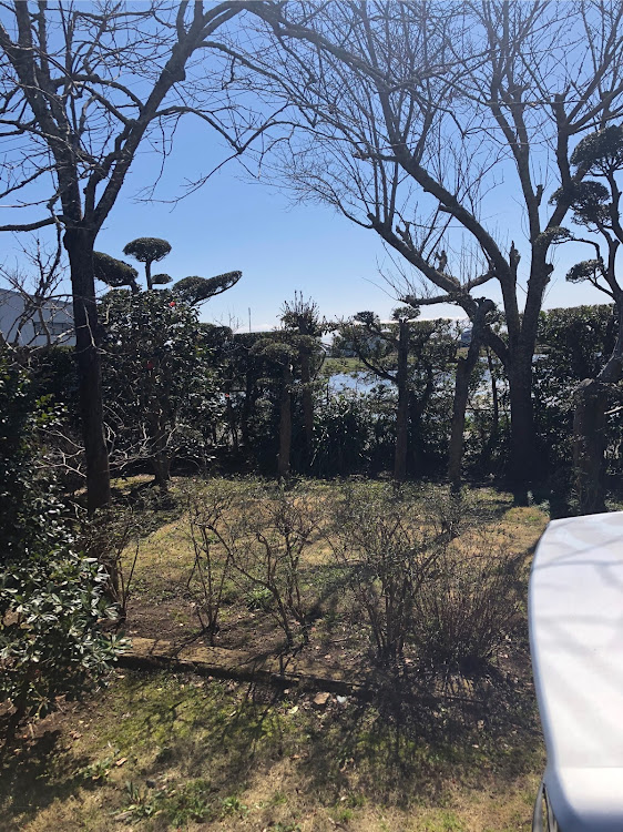 iQのBBQ・オフ会したいに関するカスタム事例の投稿画像6枚目