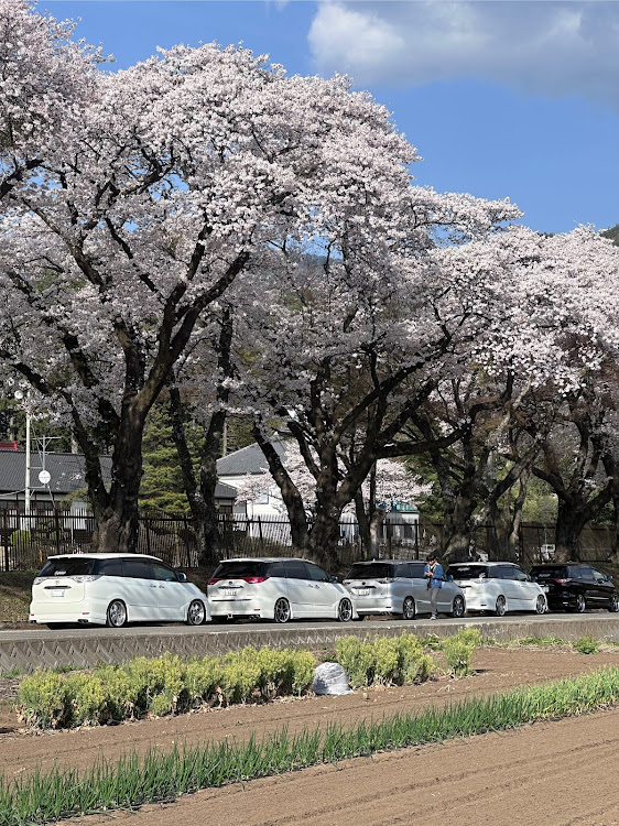 の投稿画像7枚目