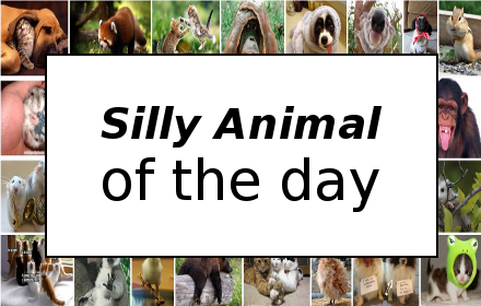 Silly Animal of the Day small promo image