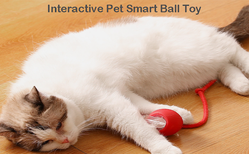 Title 4, Smart Automatic Rolling Ball for Dogs, Interact...
