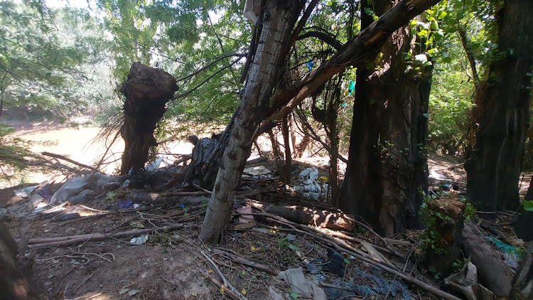 A Lesotho national had built a house on a tree along the South African side of the Maseru border. The house has now been destroyed.