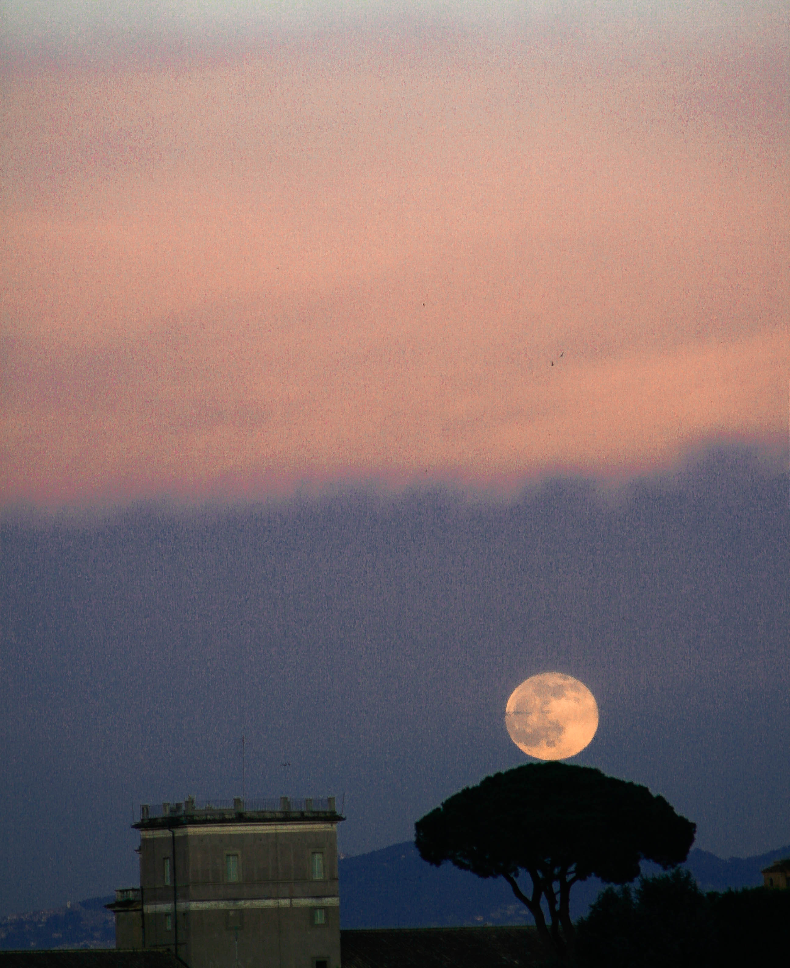 clair de lune di francesca bolla