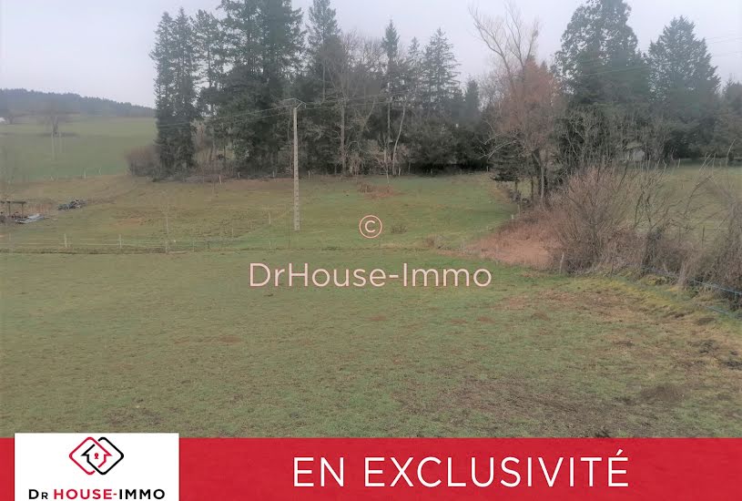  Vente Terrain agricole - 2 315m² à Beaux (43200) 