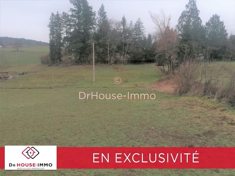 Vente terrain  2315 m² à Beaux (43200), 49 500 €