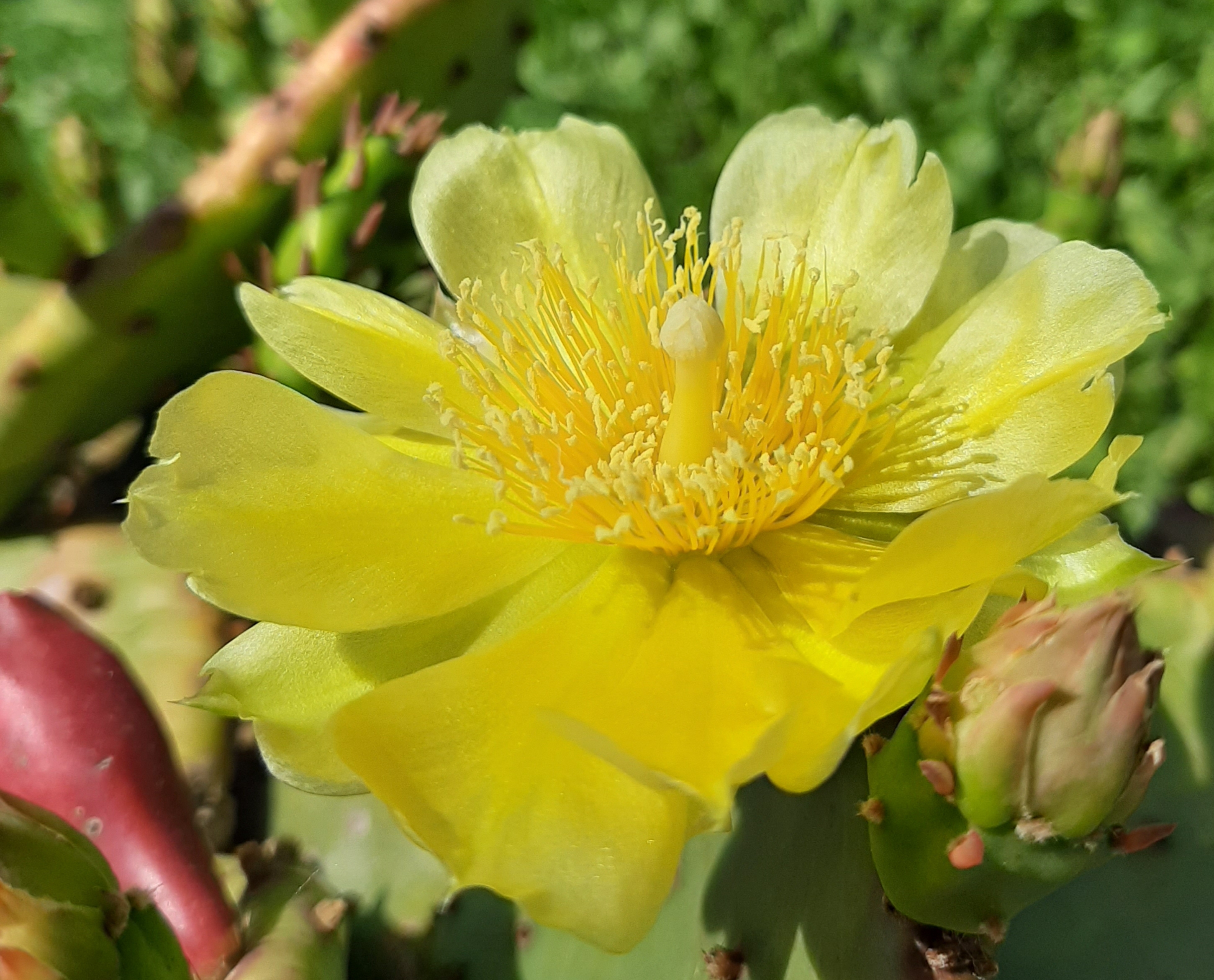 L amore giallo di Valeriaemme