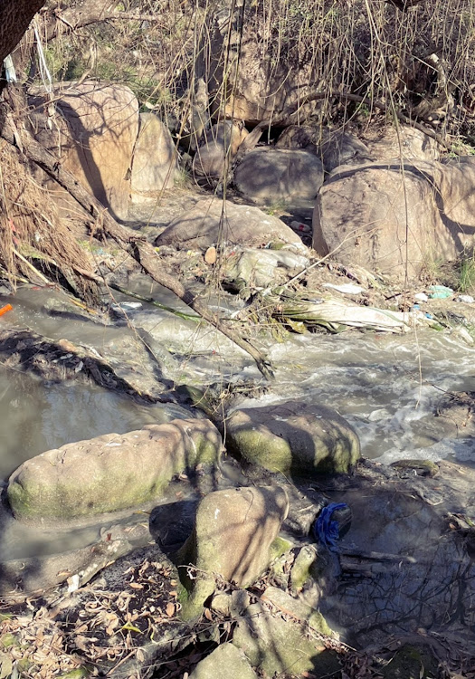 Sewer leaks in parts of Johannesburg were becoming a health risk as the leaks spill into the Klein Jukskei River.