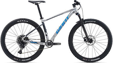 Giant 2020 Fathom 29er 2 Mountain Bike