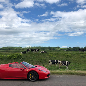 458スパイダー