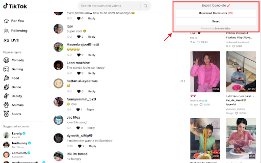 Backup TikTok Comments