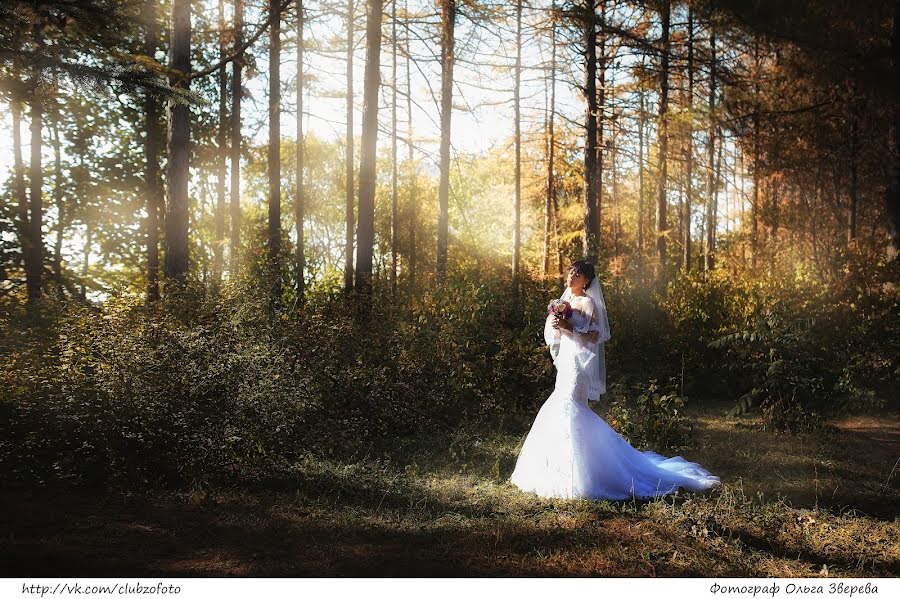 Wedding photographer Olga Zvereva (ooebest). Photo of 11 January 2016