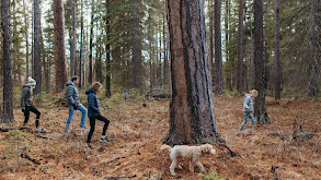 Camp Sherman Cabin thumbnail