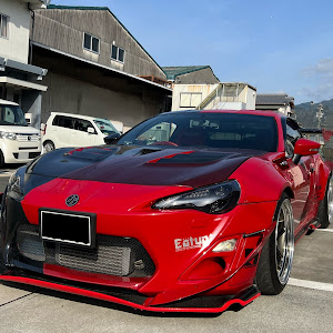 86 ZN6