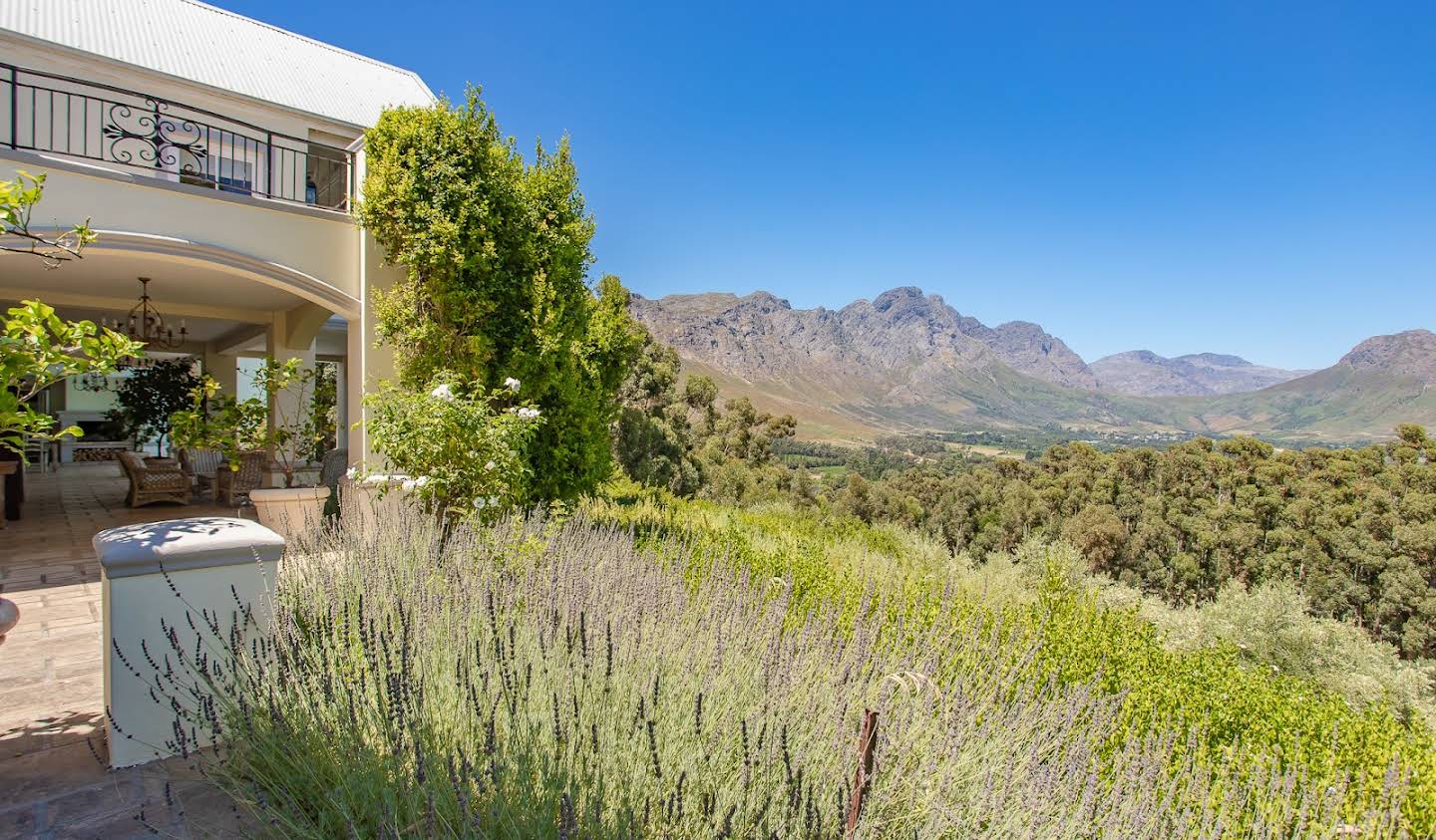 Vignoble Franschhoek