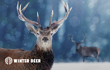 Winter Deer HD Wallpapers New Tab Theme small promo image