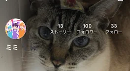 フォロー様100人!? ありがとうございます!!