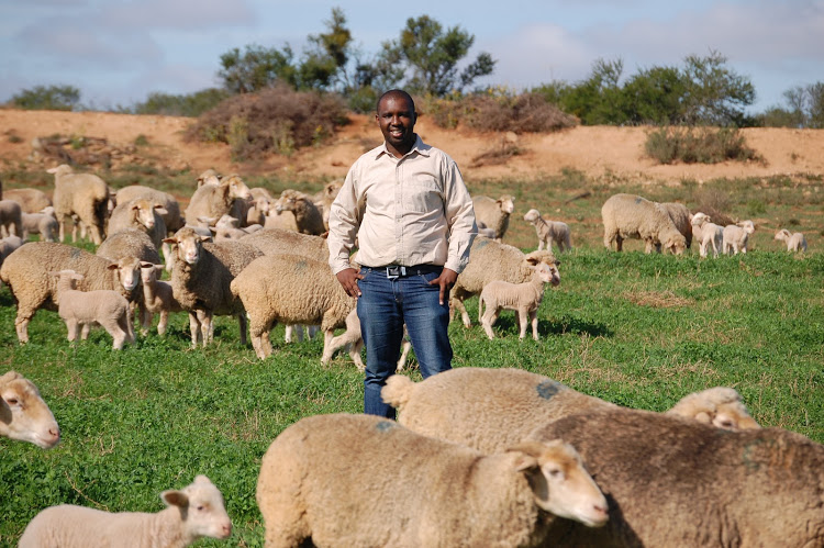 Aviwe Gxotiwe with his sheep on the farm Soutvlei.