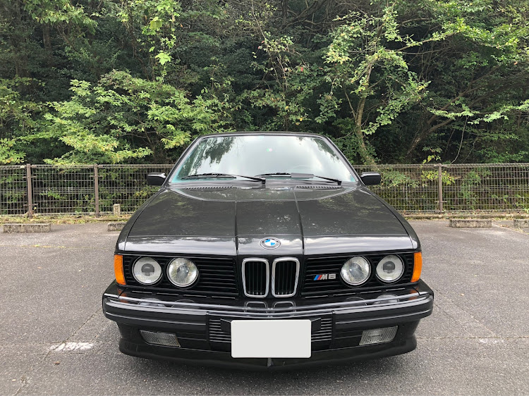 M6のコロナのない世界に関するカスタム事例の投稿画像6枚目