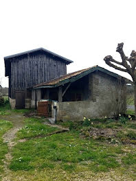 ferme à Bazas (33)