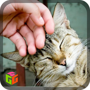 Pet the cat 1.0 Icon