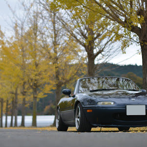 ロードスター NA8C