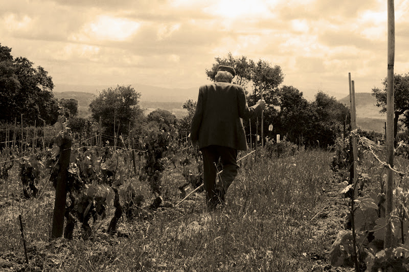 Passeggiata tra i ricordi di Francesca_Trenta