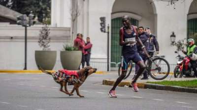 Robert Kimutai Ng'eno alikuwa akiongoza mbio hizo mbwa alipotokea