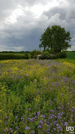 terrain à Moussy-le-Neuf (77)