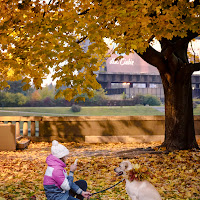 Sorridi all'autunno di 