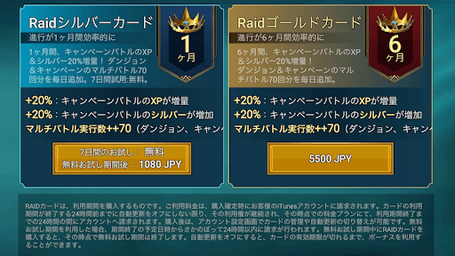 長期プレイにはRaidカードが有効