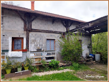 maison à Arces-Dilo (89)